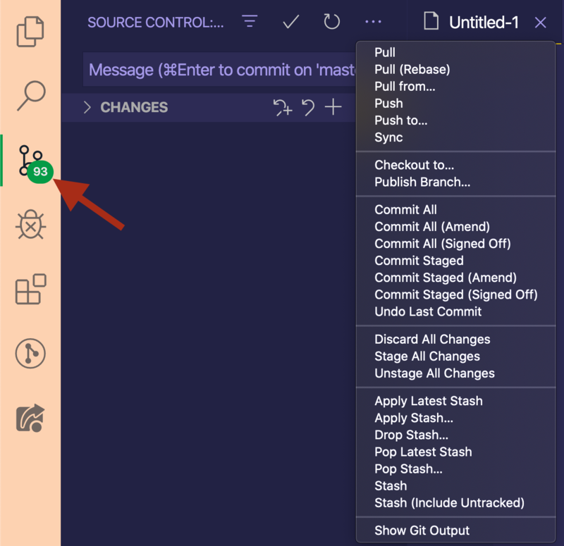 Source control pane in VSCode